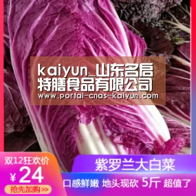 kaiyun_山东名启特膳食品有限公司 代理OEM代加工素食五谷代餐粉(图2)