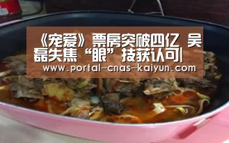 《宠爱》票房突破四亿 吴磊失焦“眼”技获认可|开云APP
