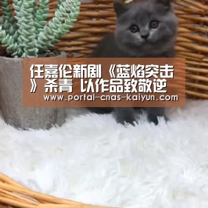 任嘉伦新剧《蓝焰突击》杀青 以作品致敬逆行英雄-开云